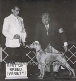 Thumbnail of Reveille von Tadellos