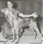 Thumbnail of Miss Deborah of Wetobe