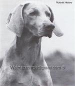 Thumbnail of Weltmeister's Semi Sweet