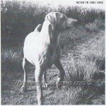 Thumbnail of Lullingstone Fontanella