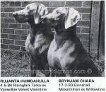 Thumbnail of Brynjam Chaka