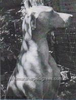 Thumbnail of Chrisan Cleo Cleverclogs