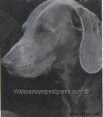 Thumbnail of Czolkins Gladiator