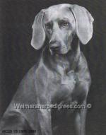 Thumbnail of The Statesman from Shalina