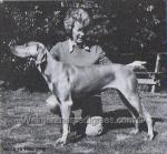 Thumbnail of Silvershadow Bracken Girl