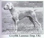 Thumbnail of Greyfilk Lammas