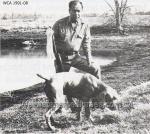 Thumbnail of Killcreeks Geist V Blitz