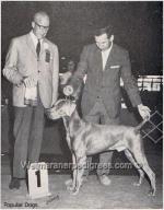 Thumbnail of Monomoy Solitaire