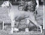 Thumbnail of Kajon Vanity Vision