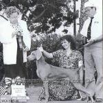 Thumbnail of Wynwood Ez Sailing For Glory