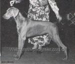 Thumbnail of Peachtree's Cassiopeia