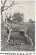 Thumbnail of Anka vom Lerchenfeld