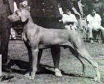 Thumbnail of Thorveld's Ace von Eschenfeld