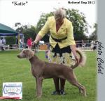 Thumbnail of Bromhund Kiss Me Kate (AI)