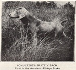 Thumbnail of Schultzie's Blitz von Bach