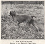 Thumbnail of Staub von Suebirtzel