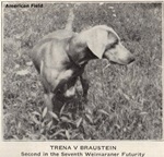 Thumbnail of Trena von Braustein