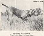 Thumbnail of Ranger's Revenge