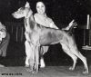 Thumbnail of Green Acres Omni Reana Buck