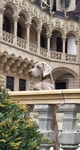 Thumbnail of Run To The Hills Just Weimaraner