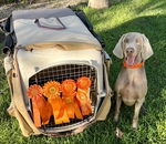 Thumbnail of PM's Esso