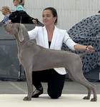 Thumbnail of Aschfahl Kepa Uki