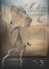 Thumbnail of Olivia Silver Friend