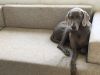 Thumbnail of Olivia Silver Friend