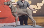 Thumbnail of COQUITO Tatra Rocket