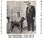 Thumbnail of Greta von Grafenstein