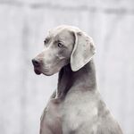 Thumbnail of Unusual Life Alive Silver