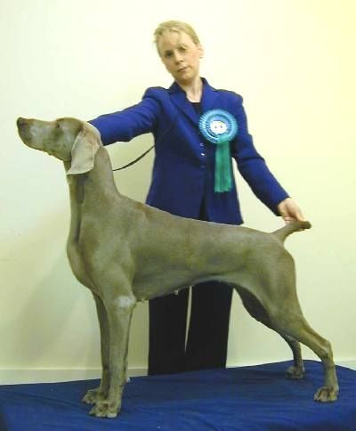 Thumbnail of Smokycity Rivenwil Revelation